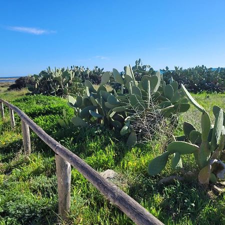 Appartamento Demetrio 50M Mare & Shopping Lido Marini Bagian luar foto